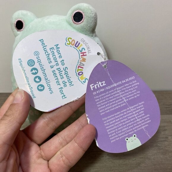 Squishmallow Fritz Frog Plushie 5.5” 2024 Easter Plush Toy - Picture 3 of 5